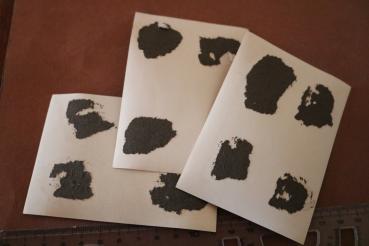 vier original Fotos Ritterkreuzverleihung Dr. phil. Hans Speidel 1944